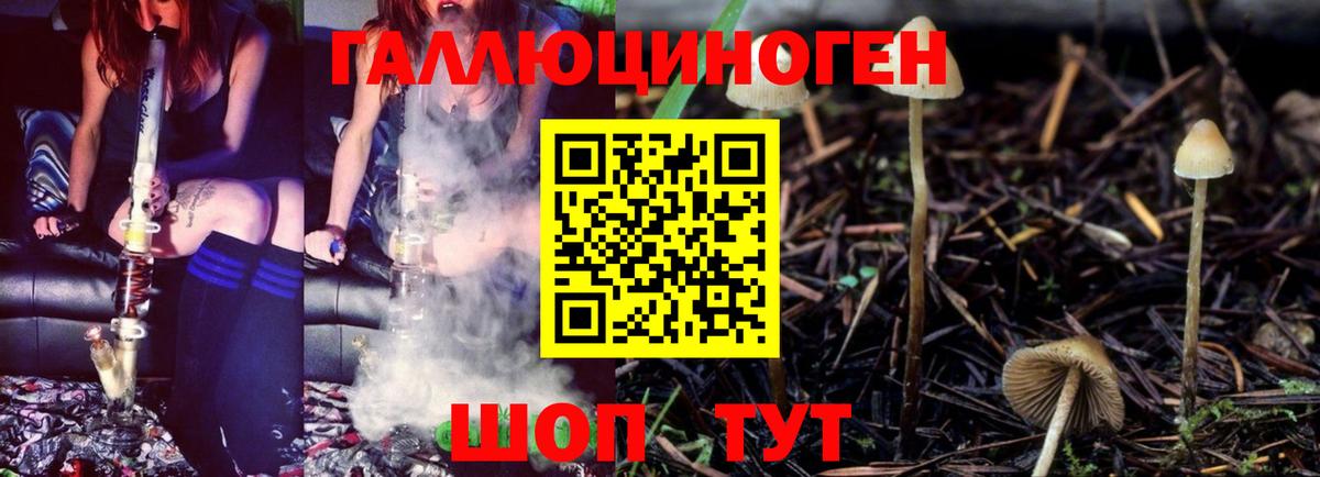 Чебаркуль  Галлюциногенные грибы Psilocybe  Вход с VPN  Галлюциногенные грибы ЛСД 