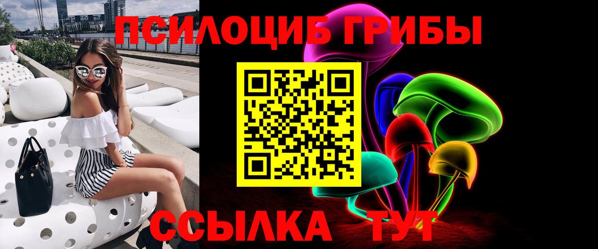 Псилоцибиновые грибы Psilocybe Чебаркуль